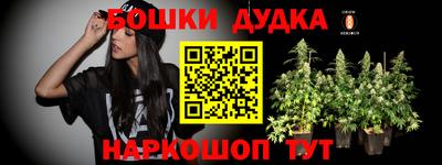молекула духа Ливны