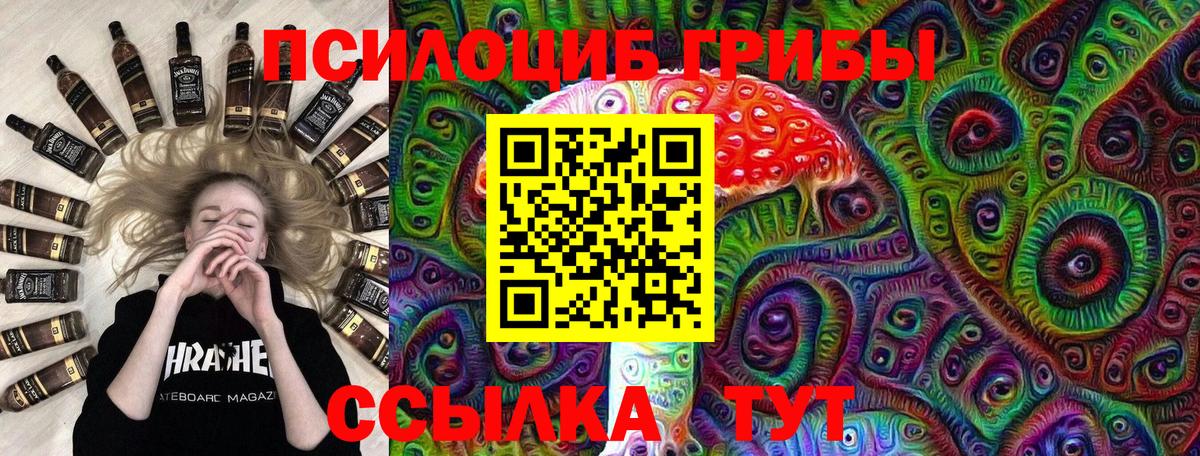 Галлюциногенные грибы GOLDEN TEACHER Владикавказ